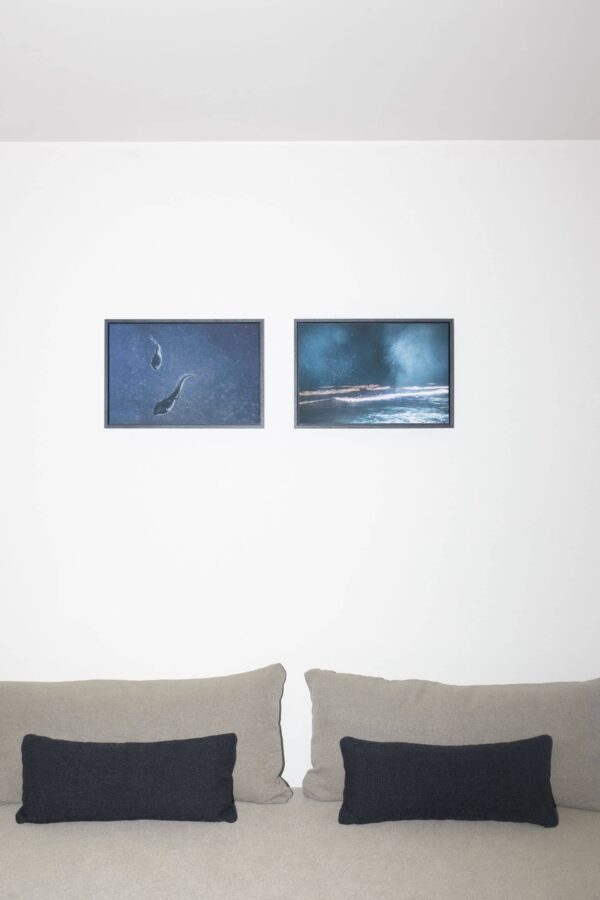 029C-Untitled_024C
